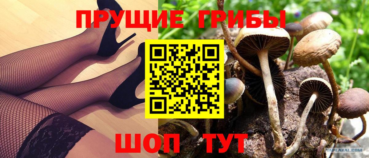 Кимовск  Галлюциногенные грибы ЛСД  Вход с VPN 